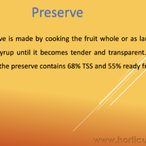 Preserve and Candy PPT